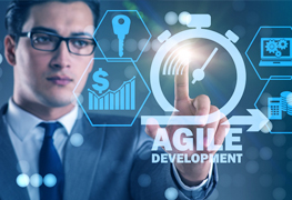 Software Development