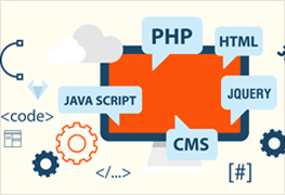 Web Development